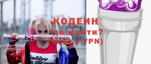 твердый Арсеньев