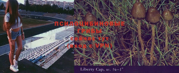 твердый Арсеньев