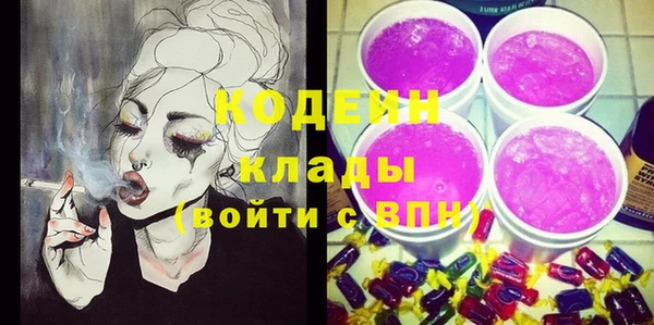 твердый Арсеньев